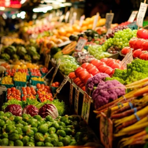 Organic Farming