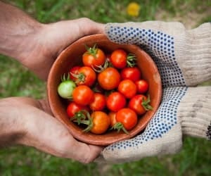 Natural Agriculture