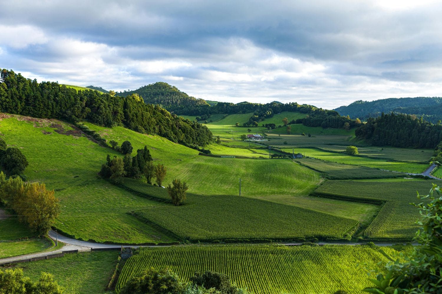 NatureHills-Farm-1