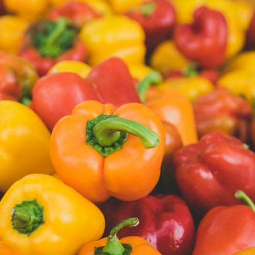 Organic Bell Pepper